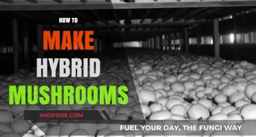 Mastering Hybrid Mushroom Cultivation: Techniques for Unique Fungal Varieties