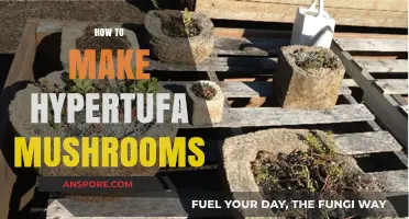 Crafting Whimsical Garden Decor: A Guide to Making Hypertufa Mushrooms