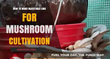 DIY Injectable Lids: Simplify Mushroom Cultivation with Easy-to-Make Solutions