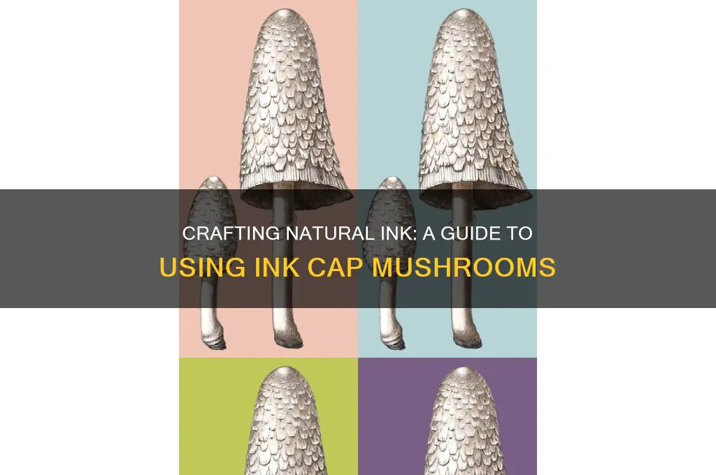 how to make ink from ink cap mushrooms