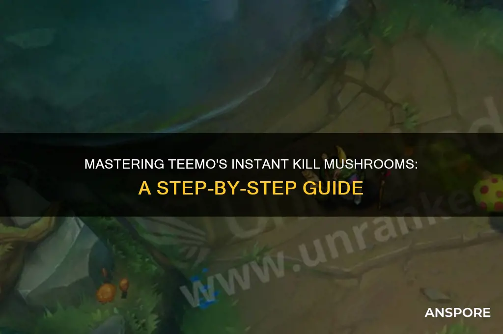 how to make isntakill mushrooms teemo