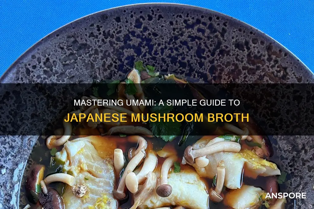 how to make japanese mushroom broth