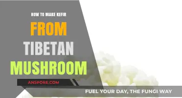 Fermenting Tibetan Mushroom Kefir: A Step-by-Step Guide to Homemade Probiotics