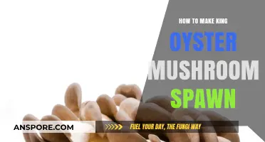 Mastering King Oyster Mushroom Spawn: A Step-by-Step Cultivation Guide