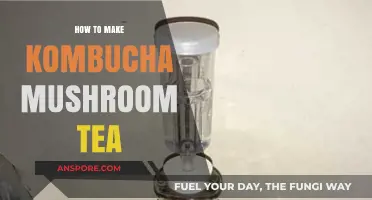 Brewing Kombucha Mushroom Tea: Simple Steps for Homemade Fermentation