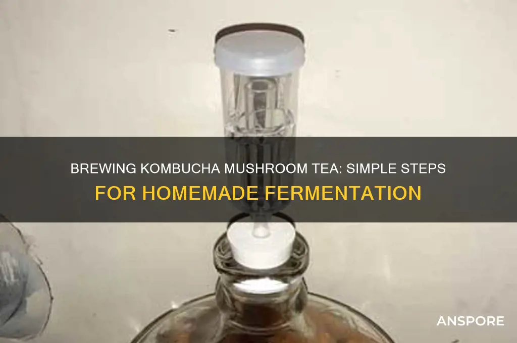 how to make kombucha mushroom tea
