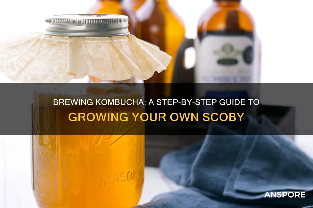 how to make kombucha mushroom