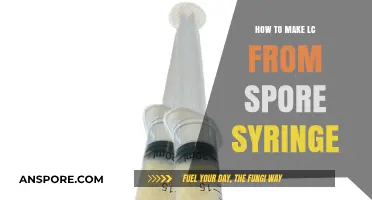 Mastering LC Cultivation: A Step-by-Step Guide Using Spore Syringes