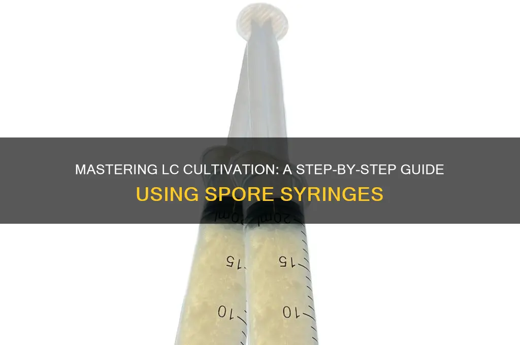 how to make lc from spore syringe