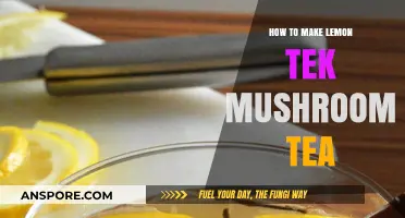 Brewing Bliss: A Guide to Lemon Tek Mushroom Tea Preparation
