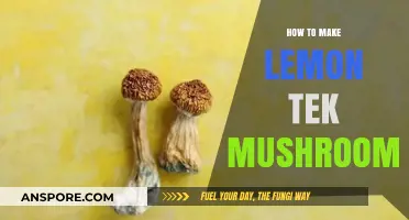 Mastering Lemon Tek: A Quick Guide to Potent Mushroom Preparation