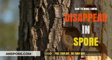 Mastering Spore: Creative Techniques to Make Limbs Disappear in Your Creations