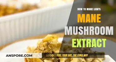 Crafting Lion's Mane Mushroom Extract: A Simple DIY Guide