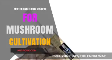 Mastering Mushroom Cultivation: A Guide to Making Liquid Culture