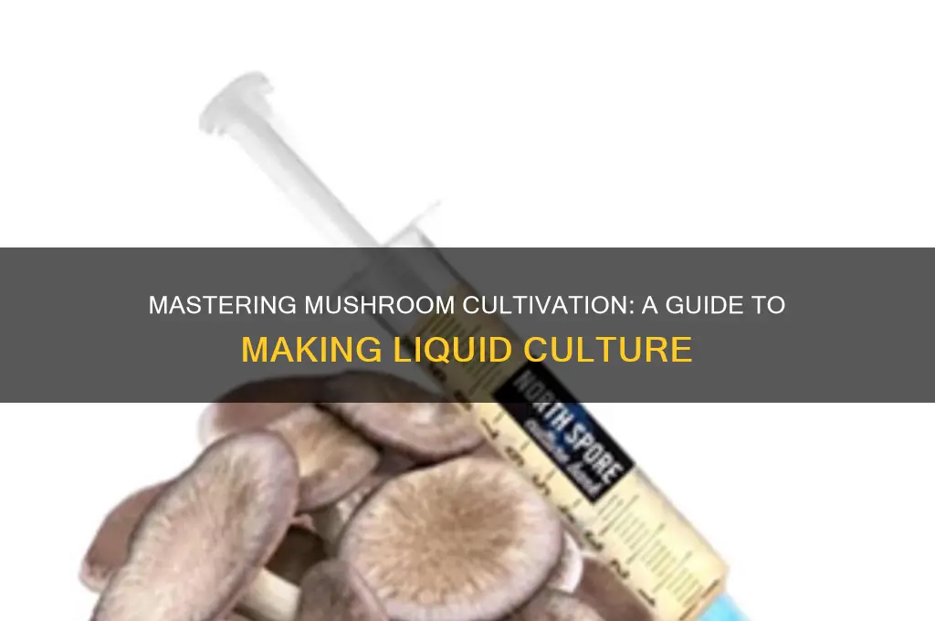 how to make liquid culture for mushroom cultivation
