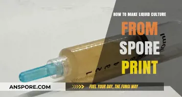 Mastering Mushroom Cultivation: Creating Liquid Culture from Spore Prints