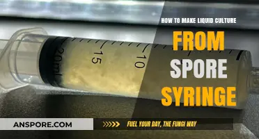 Mastering Liquid Culture: A Step-by-Step Guide from Spore Syringe