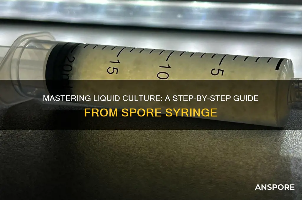 how to make liquid culture from spore syringe