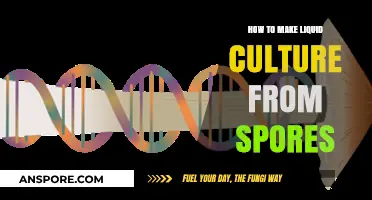 Mastering Mushroom Cultivation: Crafting Liquid Culture from Spores