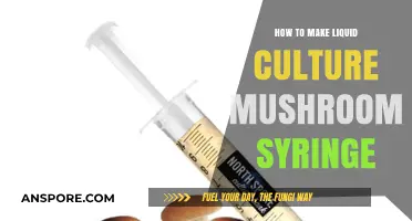 Crafting Liquid Culture Mushroom Syringes: A Step-by-Step DIY Guide