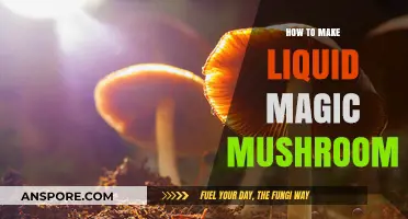 Crafting Liquid Magic Mushrooms: A Step-by-Step Guide to Extraction