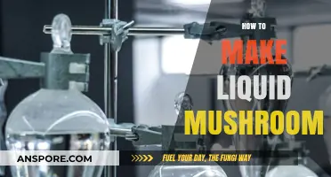 Crafting Liquid Mushrooms: A Simple Guide to Extraction and Preparation