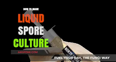 Mastering Liquid Spore Culture: A Step-by-Step Guide for Beginners