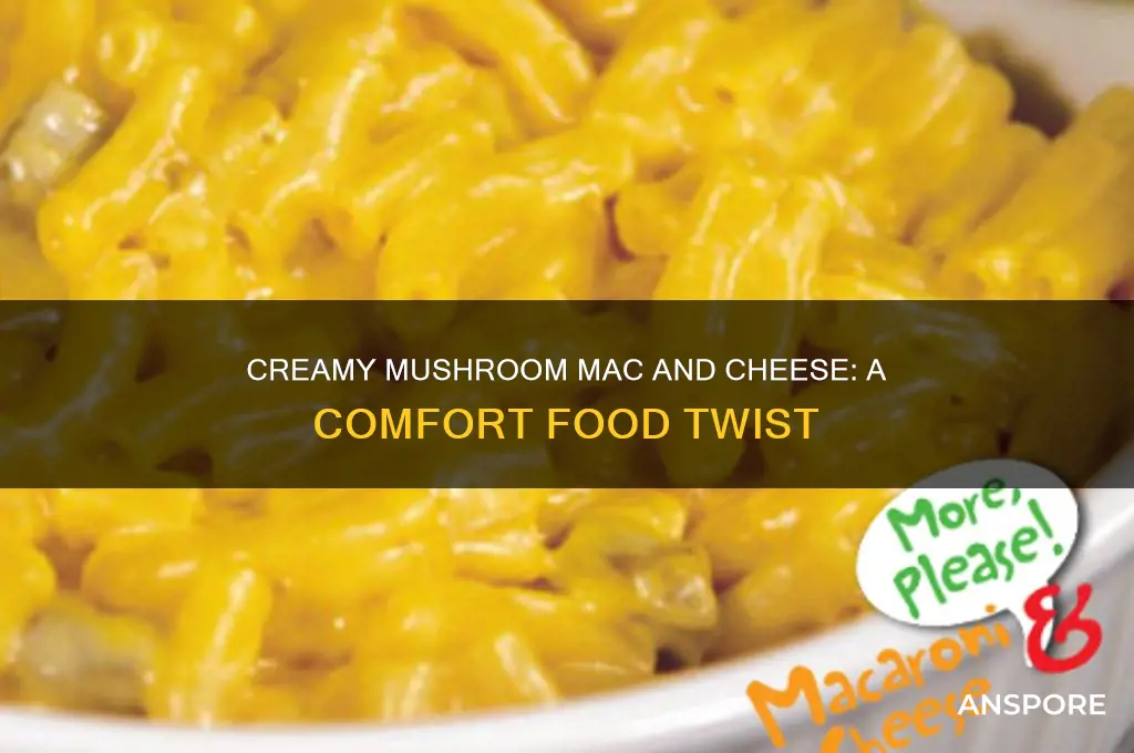 how to make mac and cheese with cream of mushroom