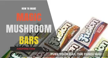 Crafting Psychedelic Delights: A Guide to Making Magic Mushroom Bars