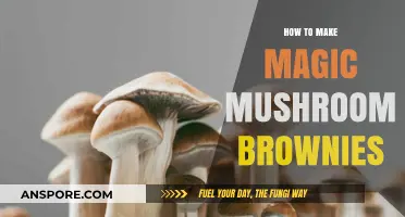 Crafting Psychedelic Delights: A Guide to Magic Mushroom Brownies