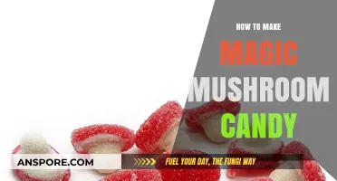 Crafting Psychedelic Treats: A Guide to Making Magic Mushroom Candy