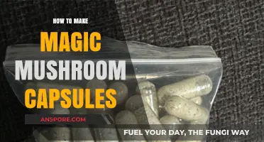 Crafting Magic Mushroom Capsules: A Step-by-Step DIY Guide