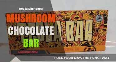 Crafting Psychedelic Delights: A Guide to Making Magic Mushroom Chocolate Bars