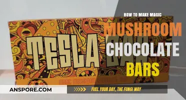 Crafting Psychedelic Delights: A Guide to Magic Mushroom Chocolate Bars