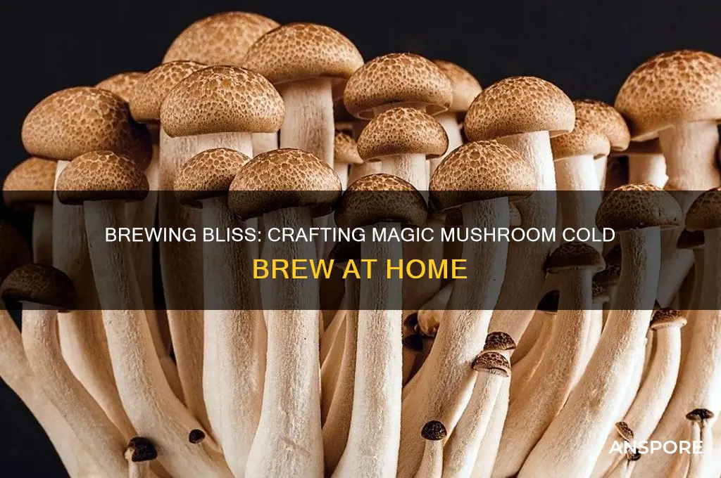 how to make magic mushroom coldbrew