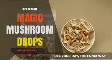 Crafting Psychedelic Wellness: A Guide to Making Magic Mushroom Drops