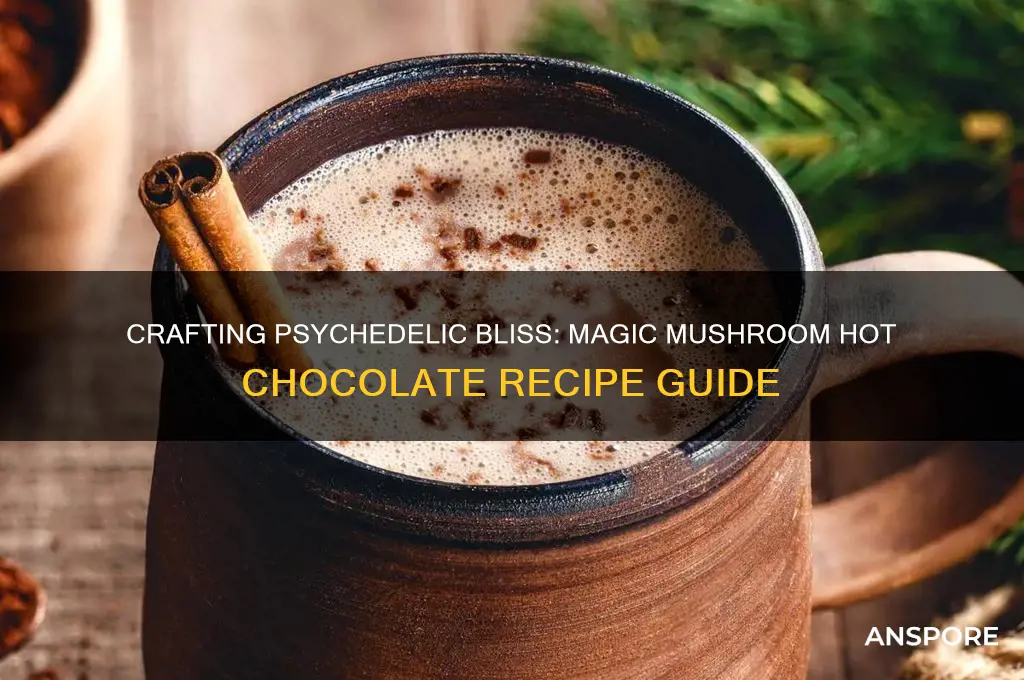 how to make magic mushroom hot chocolate