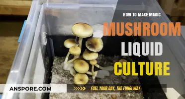Mastering Magic Mushroom Liquid Culture: A Step-by-Step Guide