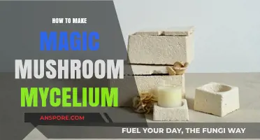 Cultivating Magic Mushroom Mycelium: A Step-by-Step Guide for Beginners