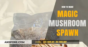 Mastering Mushroom Cultivation: A Guide to Making Magic Mushroom Spawn