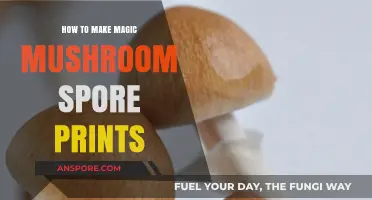 Mastering the Art of Creating Magic Mushroom Spore Prints