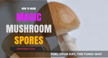Crafting Magic Mushroom Spores: A Step-by-Step Cultivation Guide