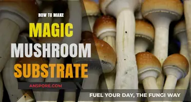 Mastering Magic Mushroom Substrate: A Step-by-Step DIY Guide