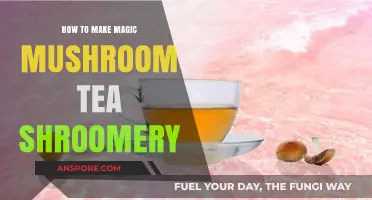 Brewing Bliss: A Guide to Crafting Magic Mushroom Tea at Home