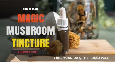 Crafting a Potent Magic Mushroom Tincture: A Step-by-Step Guide