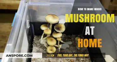 Crafting Psilocybin Mushrooms: A Step-by-Step Home Cultivation Guide