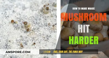Amplify Your Trip: Proven Tips to Intensify Magic Mushroom Effects