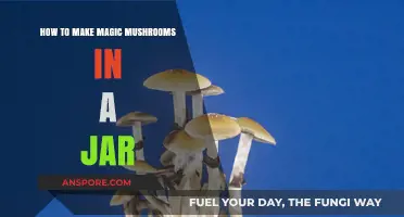 Mastering Mushroom Cultivation: A Step-by-Step Guide to Growing Magic Mushrooms in a Jar