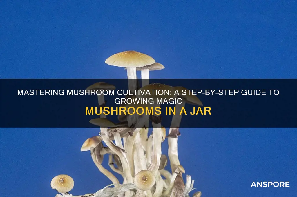 how to make magic mushrooms in a jar
