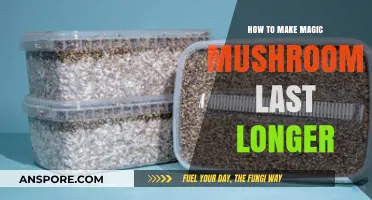 Prolonging Psilocybin Potency: Tips to Extend Magic Mushroom Shelf Life